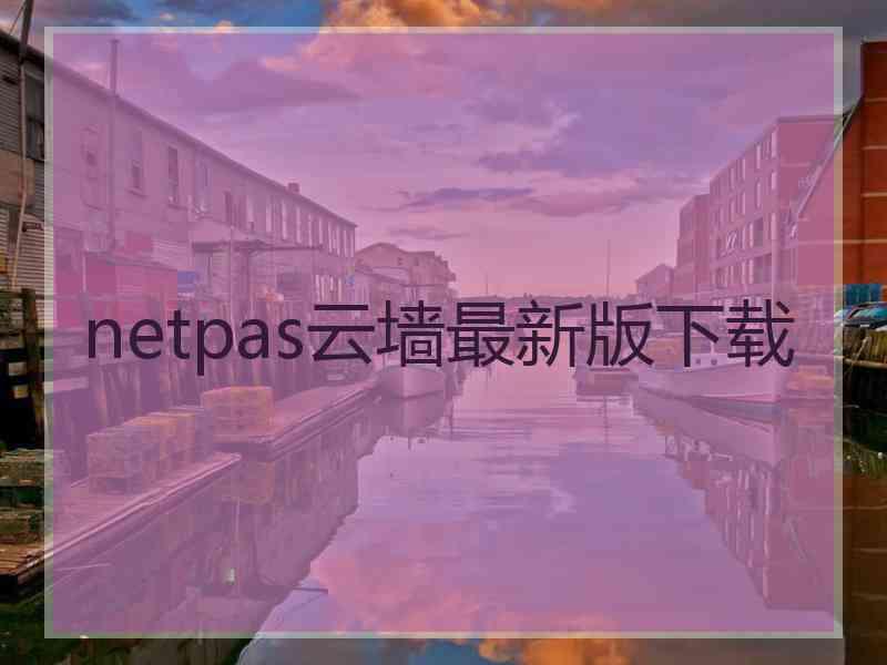 netpas云墙最新版下载