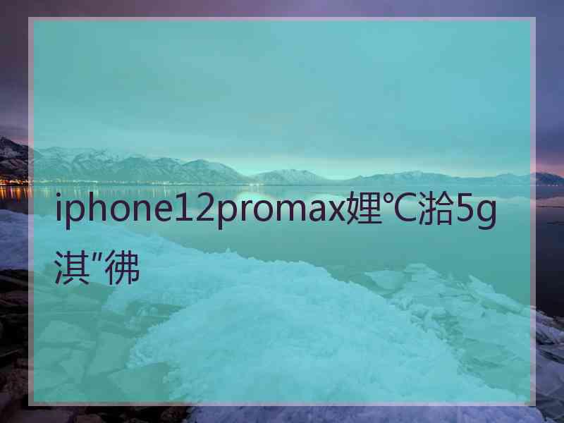 iphone12promax娌℃湁5g淇″彿