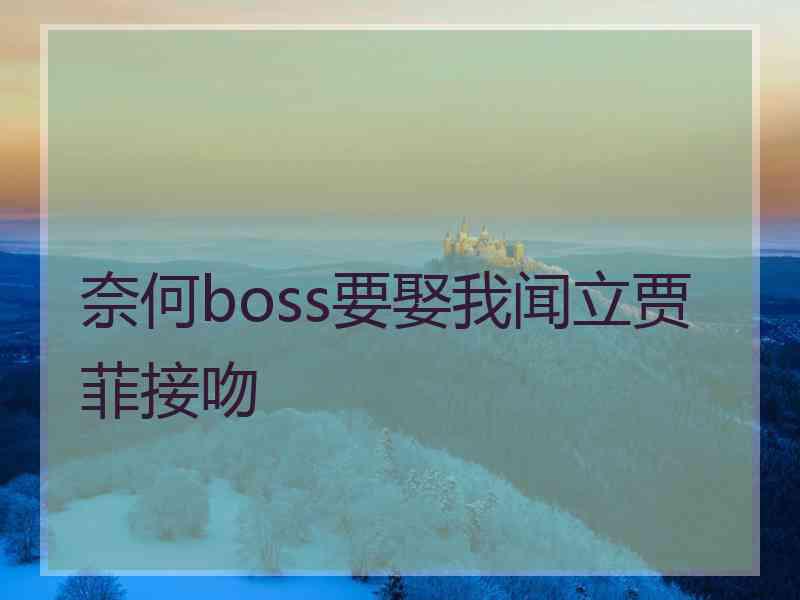 奈何boss要娶我闻立贾菲接吻