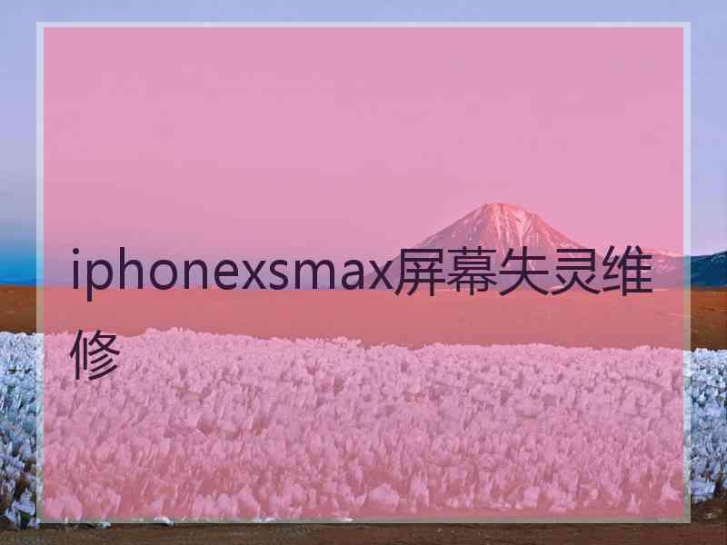 iphonexsmax屏幕失灵维修