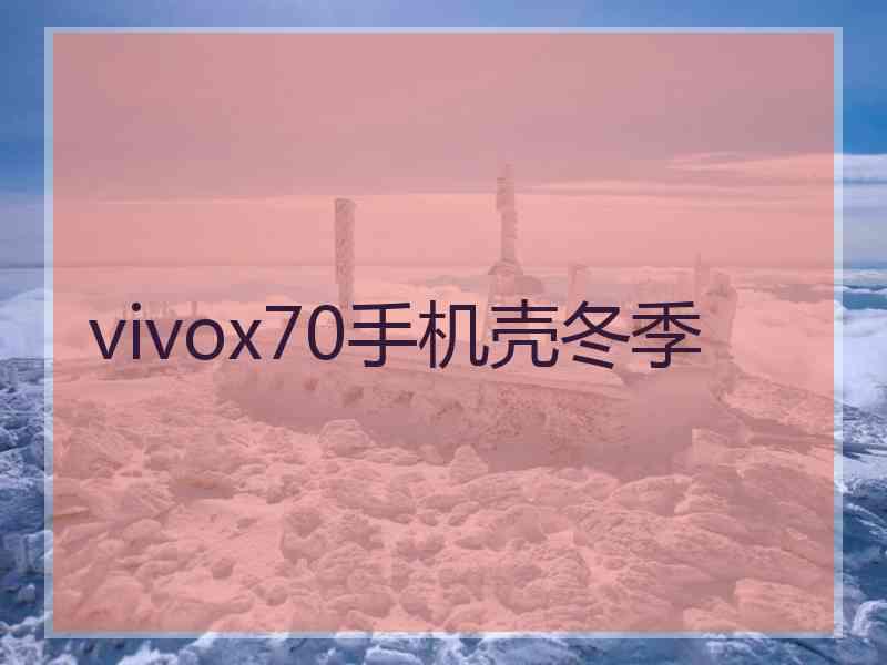 vivox70手机壳冬季