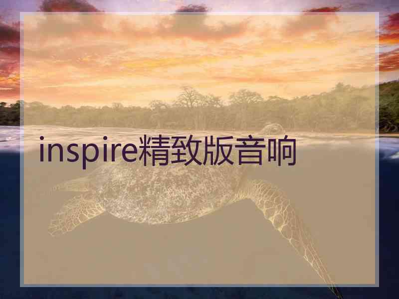 inspire精致版音响