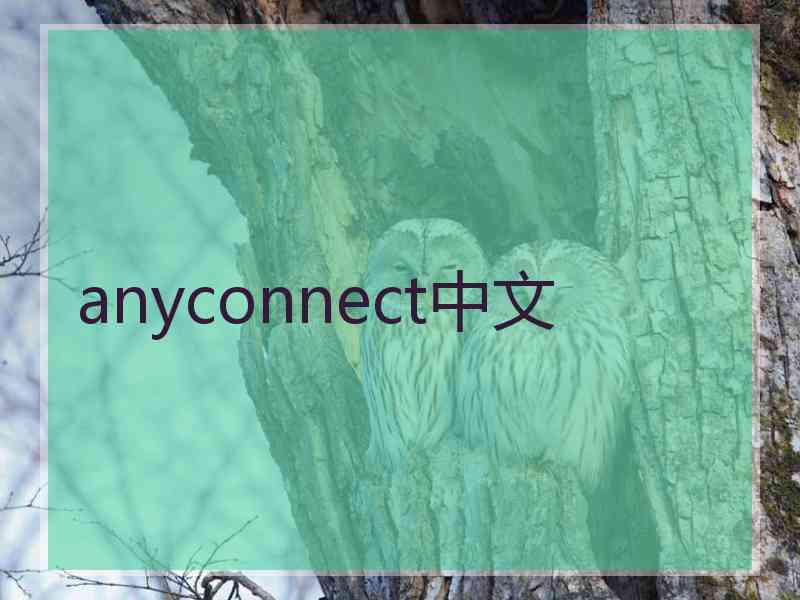 anyconnect中文