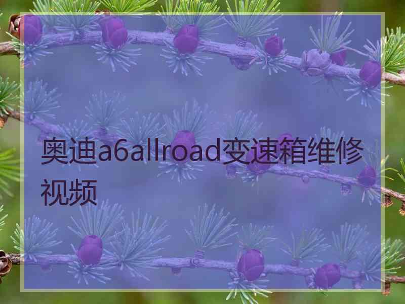 奥迪a6allroad变速箱维修视频