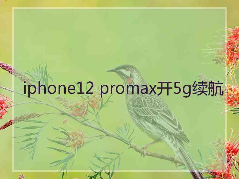 iphone12 promax开5g续航