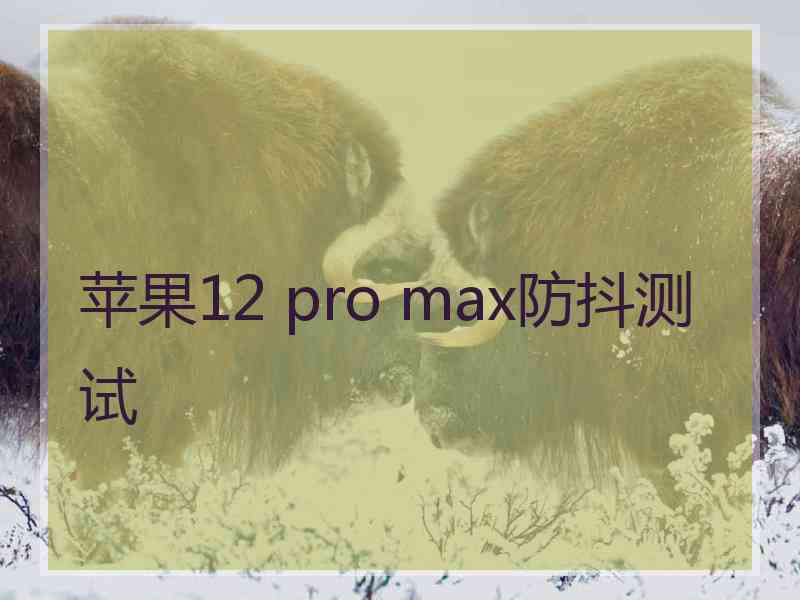 苹果12 pro max防抖测试