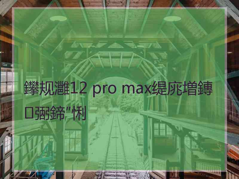 鑻规灉12 pro max缇庣増鏄弻鍗″悧