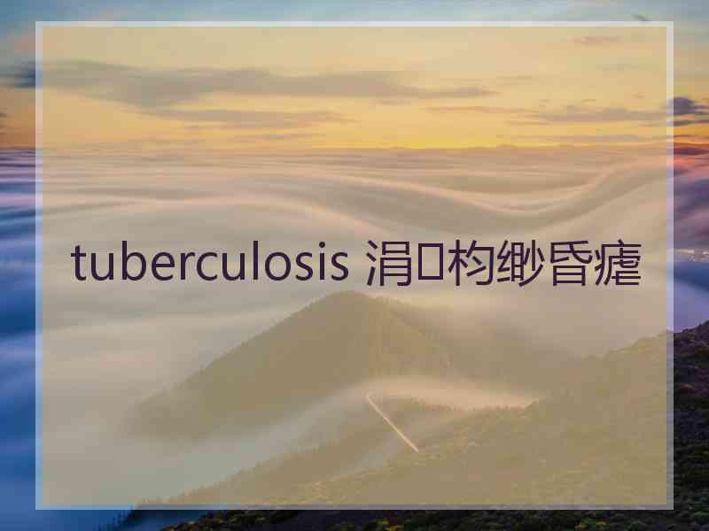 tuberculosis 涓枃缈昏瘧