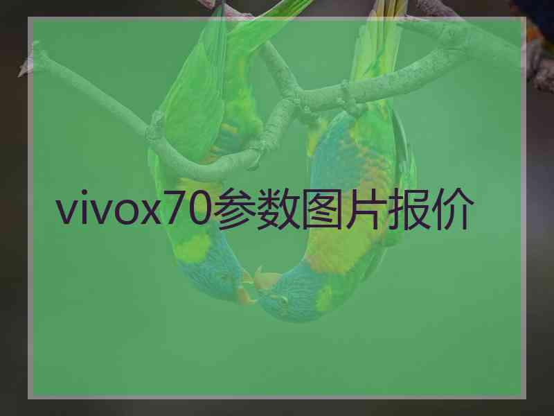 vivox70参数图片报价