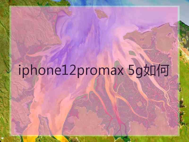 iphone12promax 5g如何