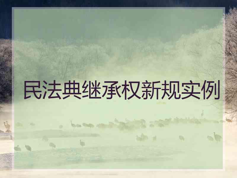 民法典继承权新规实例