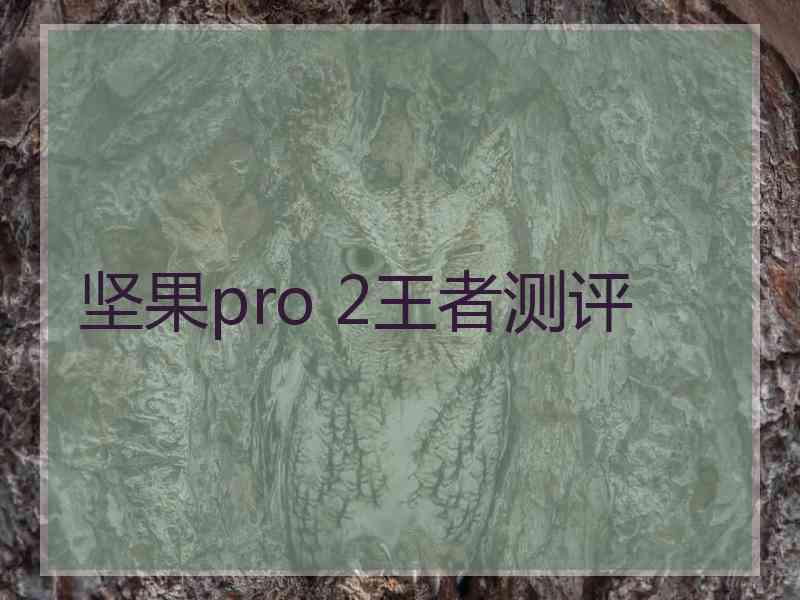 坚果pro 2王者测评