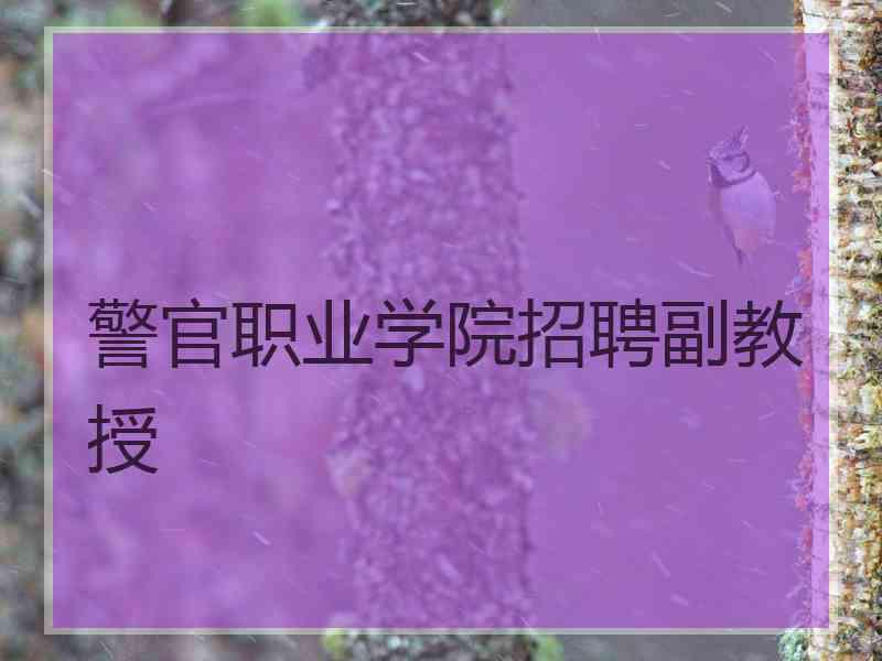 警官职业学院招聘副教授