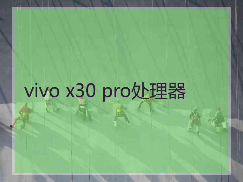 vivo x30 pro处理器