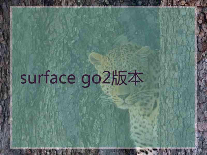 surface go2版本