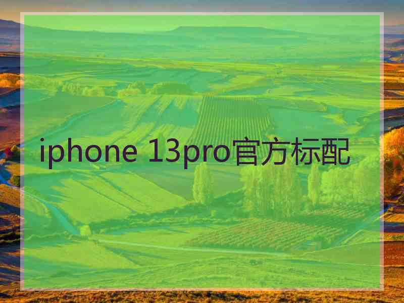 iphone 13pro官方标配