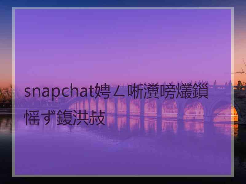 snapchat娉ㄥ唽瀵嗙爜鎻愮ず鍑洪敊