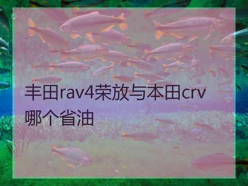 丰田rav4荣放与本田crv哪个省油