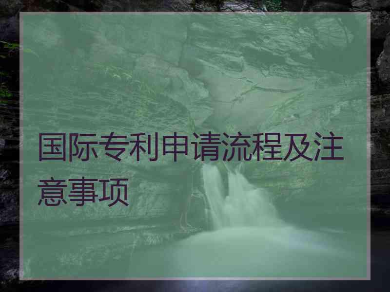 国际专利申请流程及注意事项