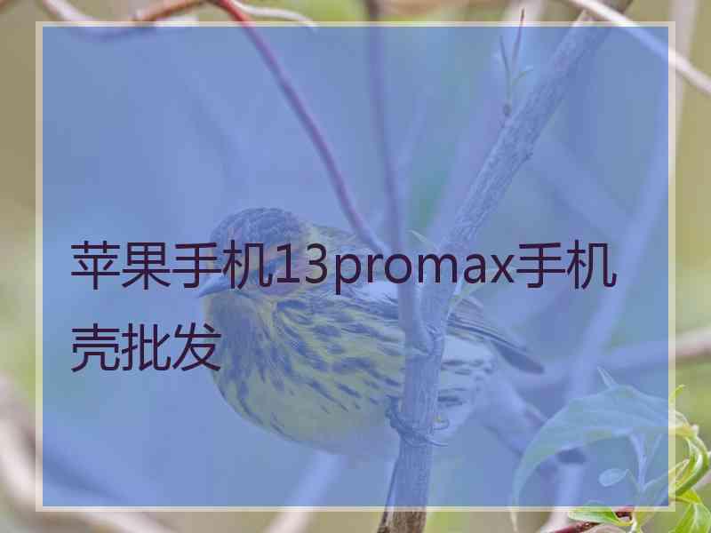 苹果手机13promax手机壳批发