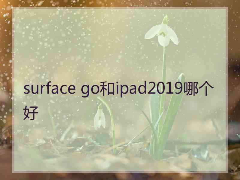 surface go和ipad2019哪个好