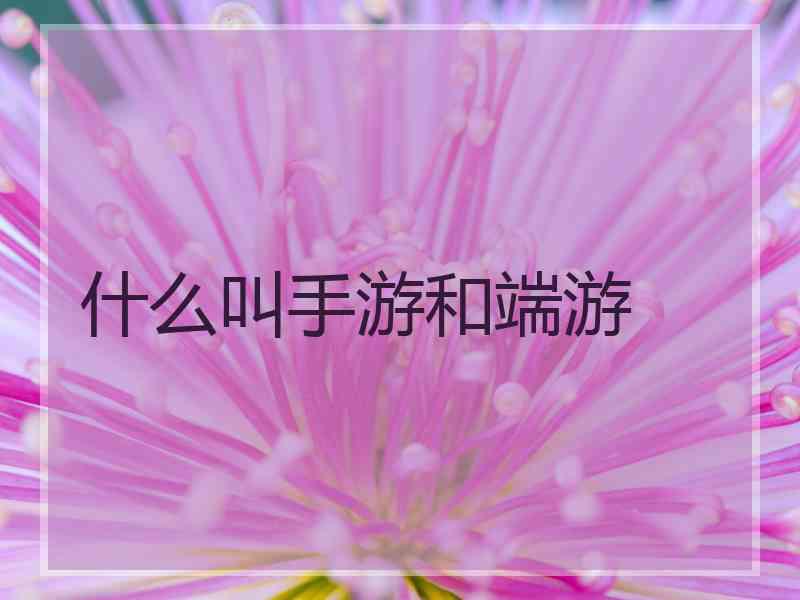 什么叫手游和端游