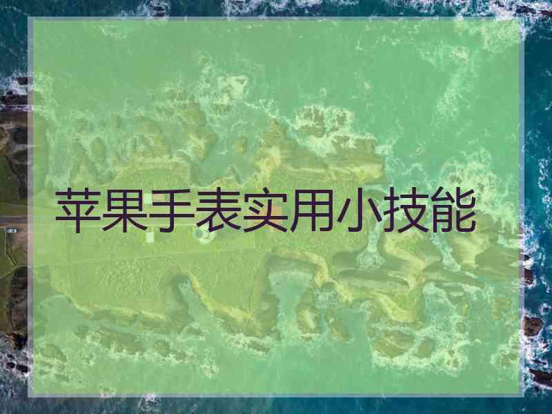 苹果手表实用小技能