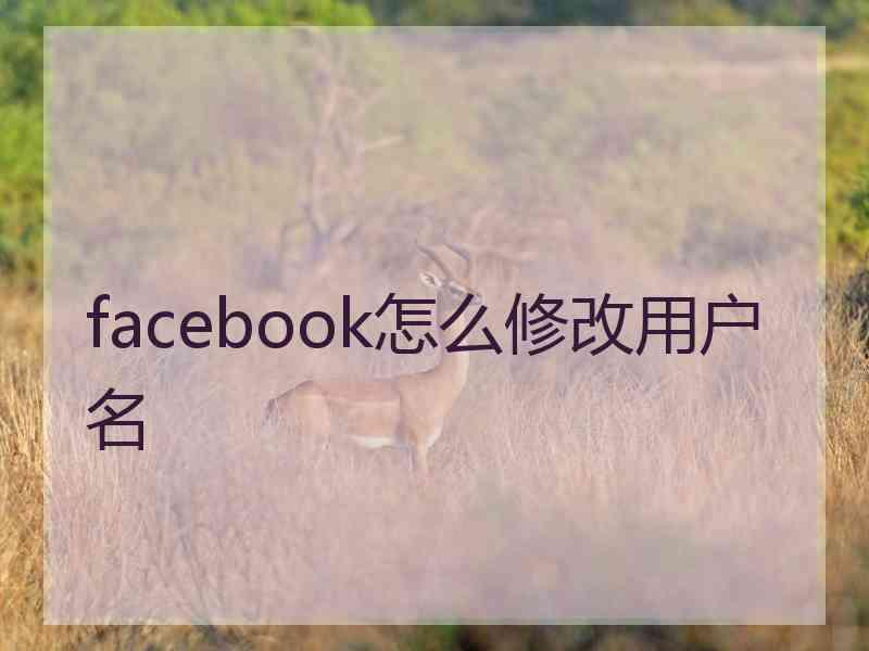 facebook怎么修改用户名