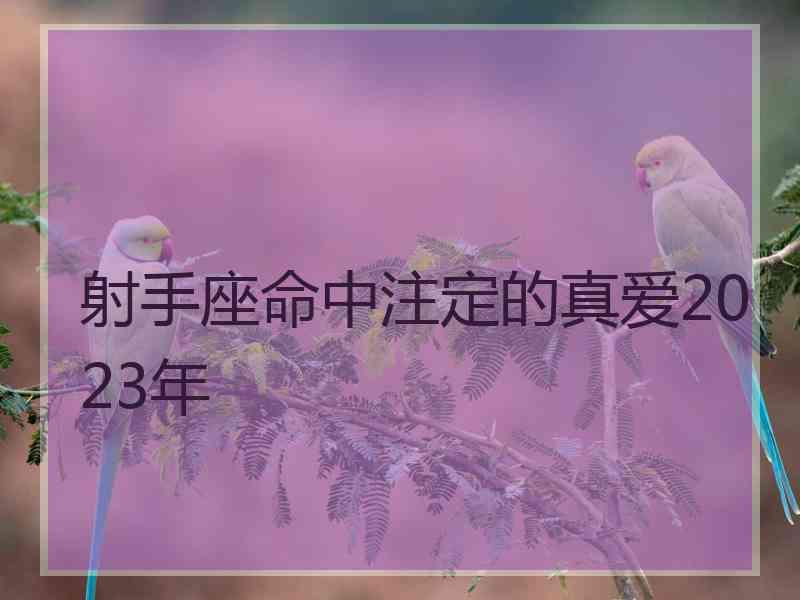 射手座命中注定的真爱2023年