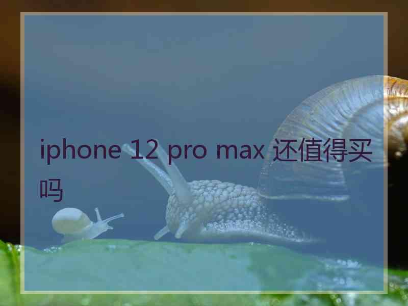 iphone 12 pro max 还值得买吗