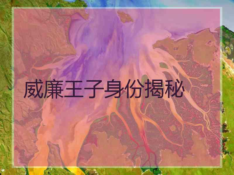 威廉王子身份揭秘