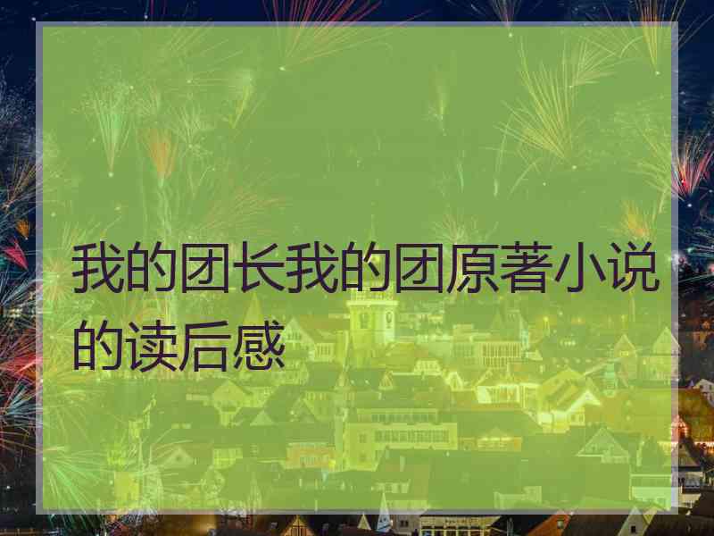 我的团长我的团原著小说的读后感