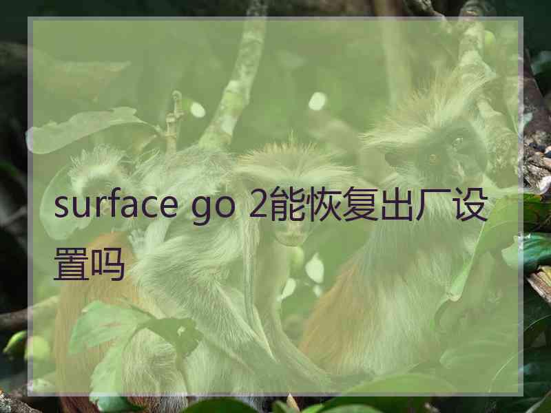 surface go 2能恢复出厂设置吗