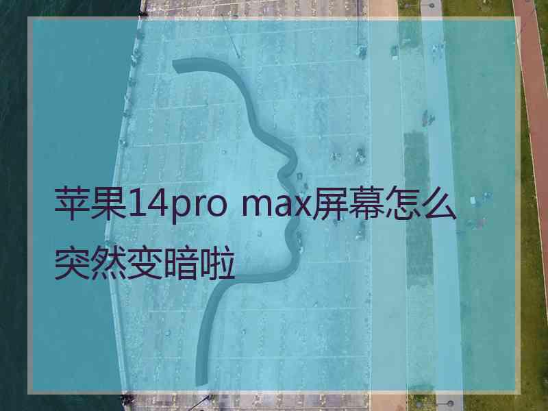 苹果14pro max屏幕怎么突然变暗啦