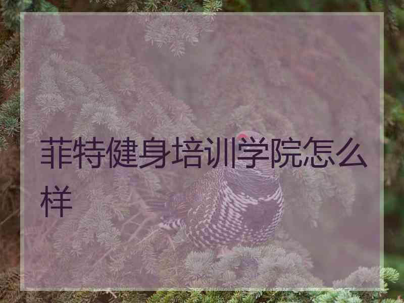 菲特健身培训学院怎么样