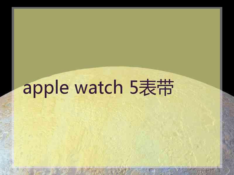 apple watch 5表带