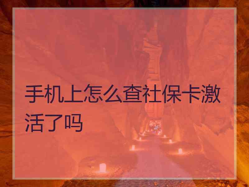 手机上怎么查社保卡激活了吗