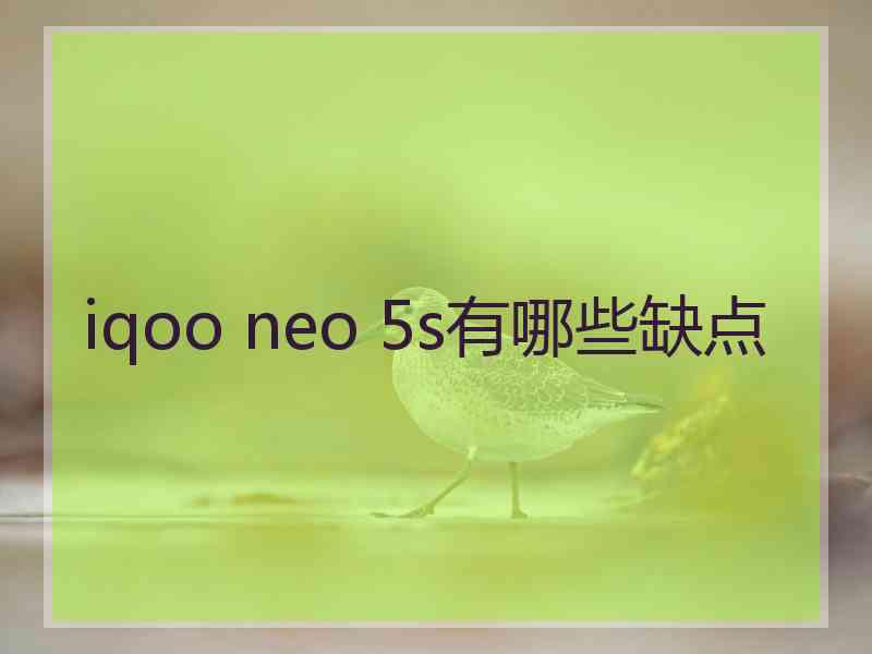 iqoo neo 5s有哪些缺点