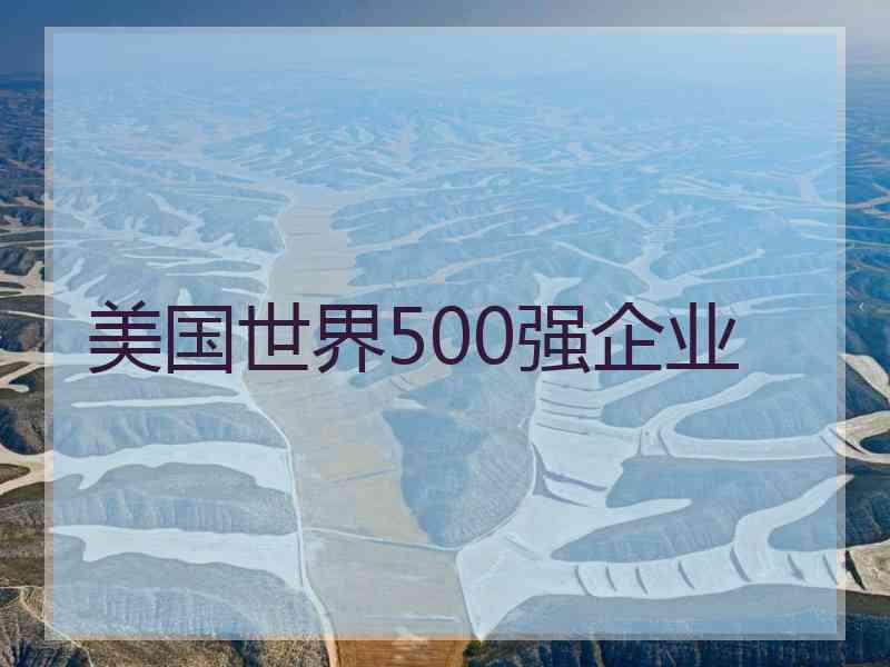 美国世界500强企业