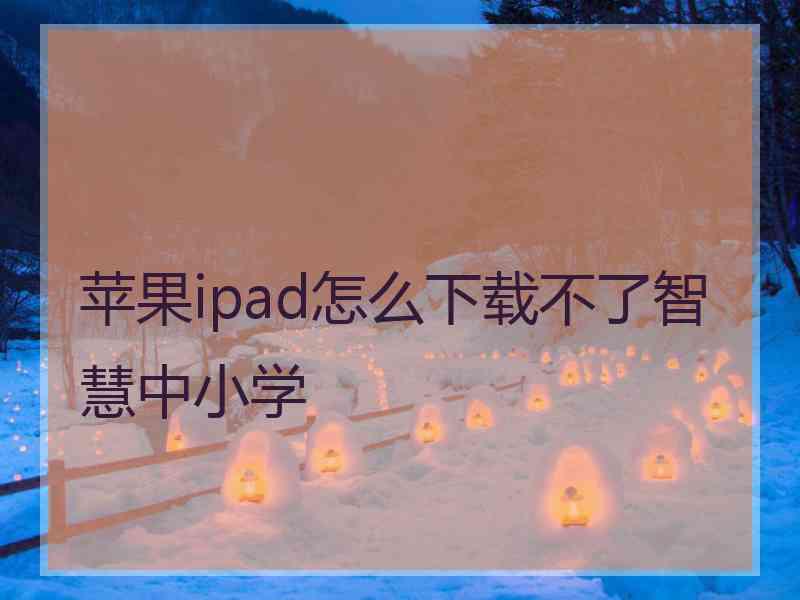 苹果ipad怎么下载不了智慧中小学