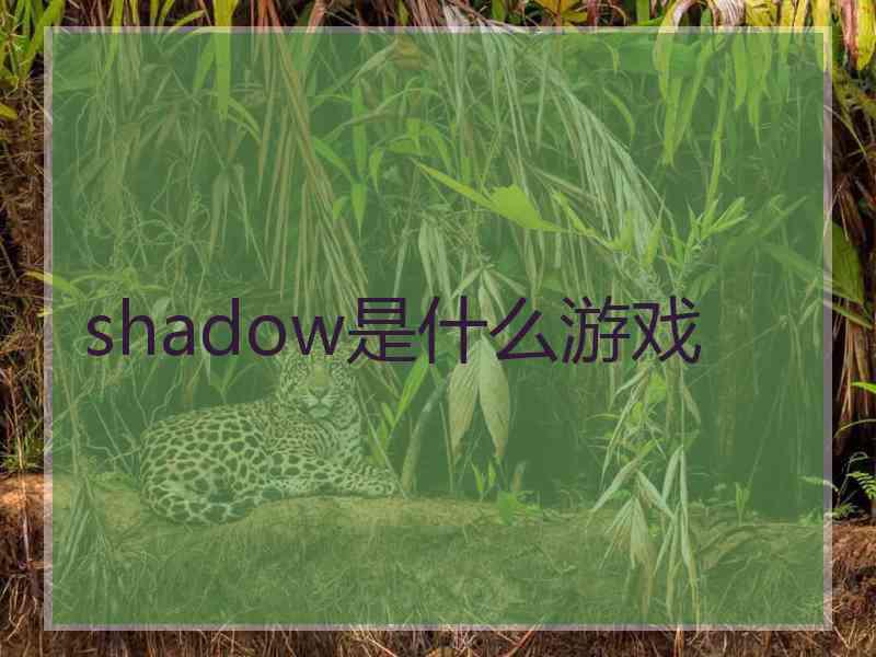 shadow是什么游戏