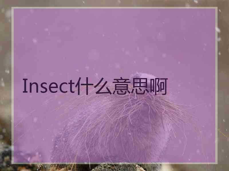 Insect什么意思啊