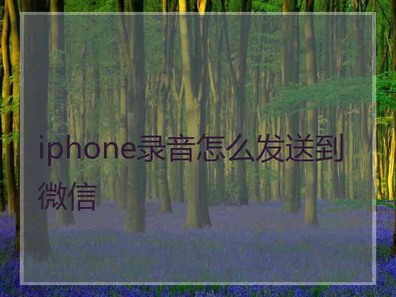 iphone录音怎么发送到微信