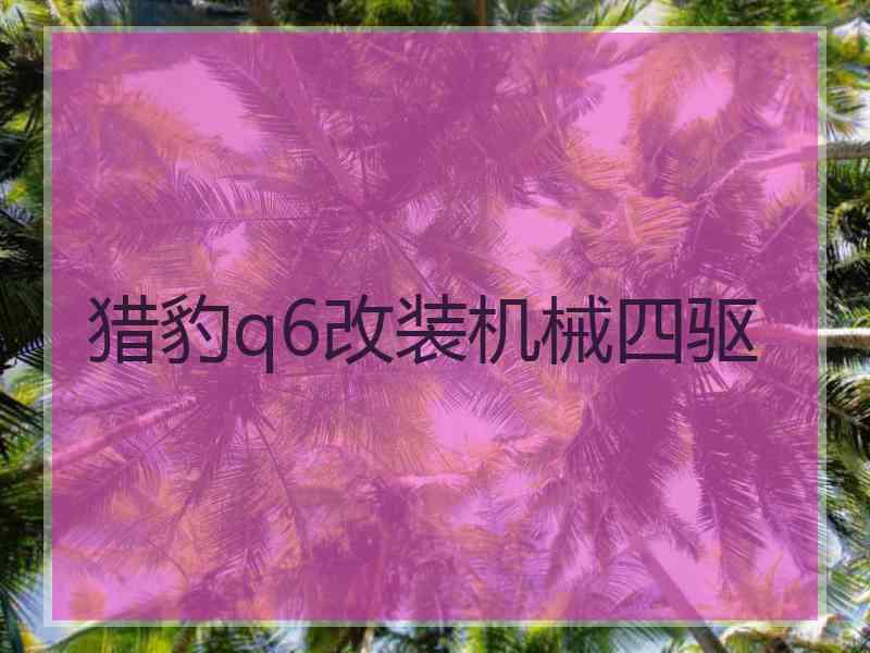 猎豹q6改装机械四驱