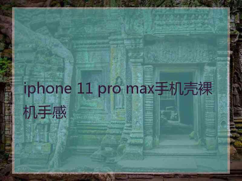 iphone 11 pro max手机壳裸机手感