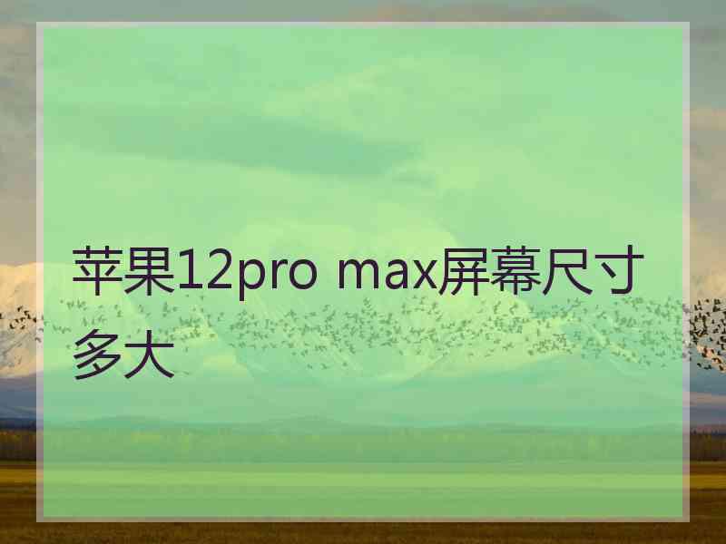 苹果12pro max屏幕尺寸多大