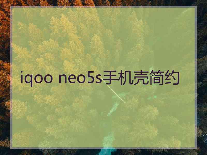 iqoo neo5s手机壳简约