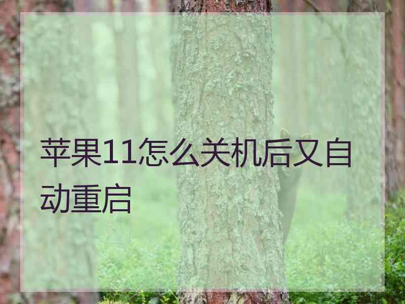 苹果11怎么关机后又自动重启