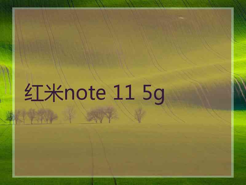 红米note 11 5g