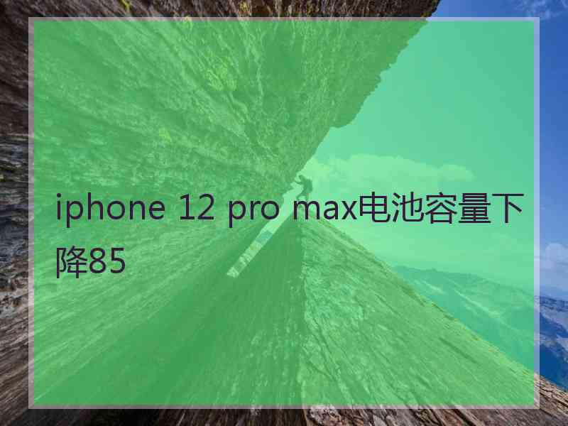 iphone 12 pro max电池容量下降85